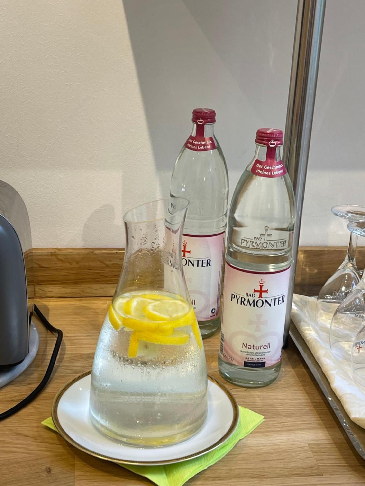 Goethe Hotel Bad Pyrmont Εξωτερικό φωτογραφία